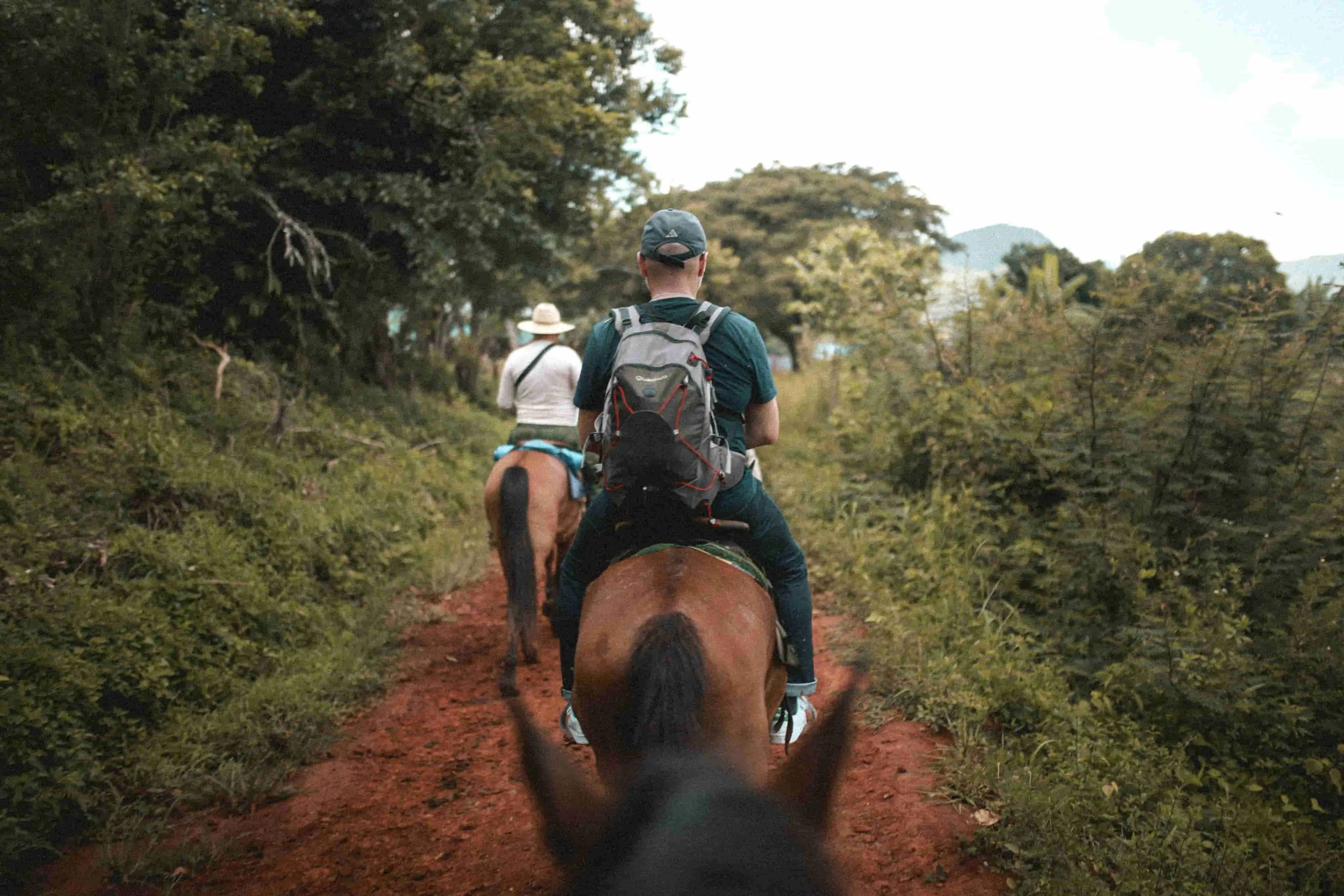 Horse Riding