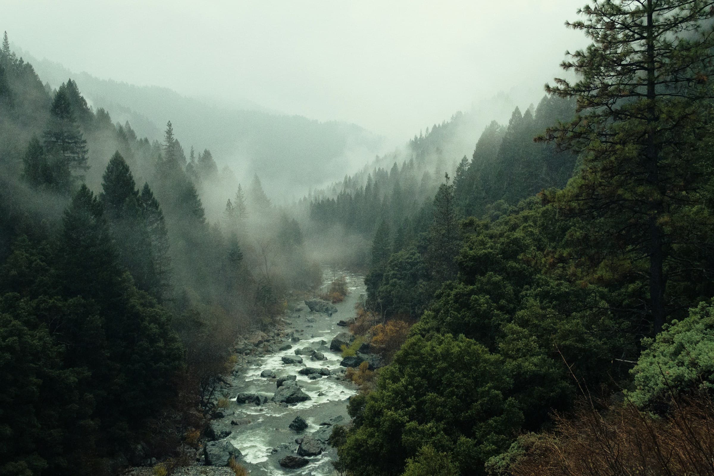 Sajek Valley Cloud Ridge