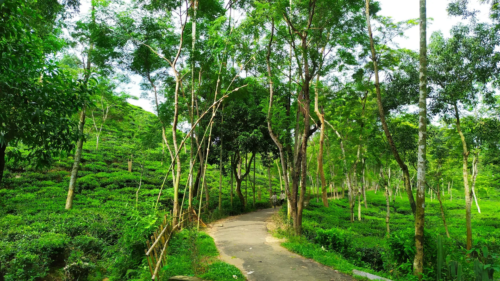 Sylhet